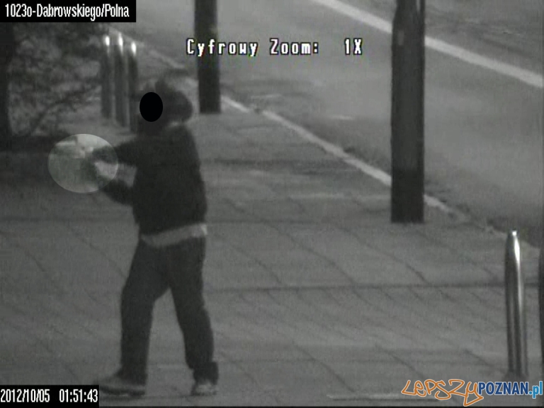 Monitoring na Jezycach 4 Foto: Monitoring na Jezycach 4 Foto: