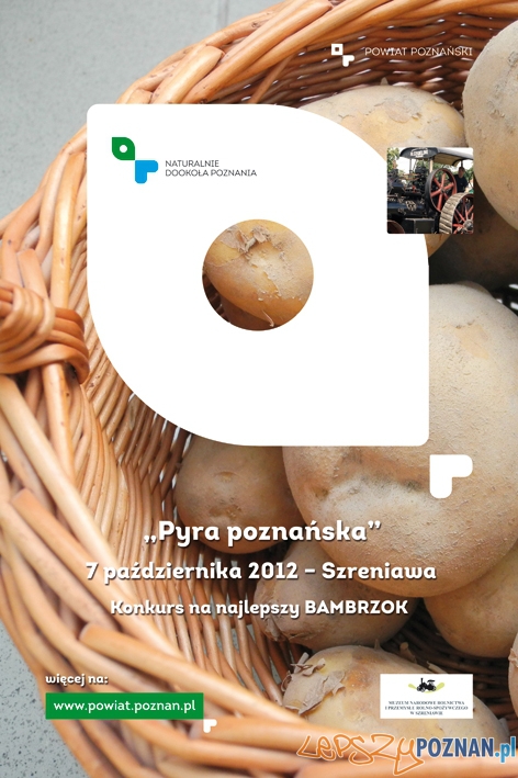 pyra poznanska-citylight  Foto: 