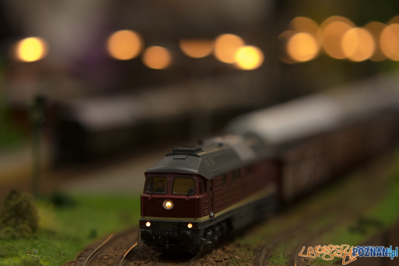 Targi Hobby Foto: lepszyPOZNAN.pl / Piotr Rychter Targi Hobby Foto: lepszyPOZNAN.pl / Piotr Rychter