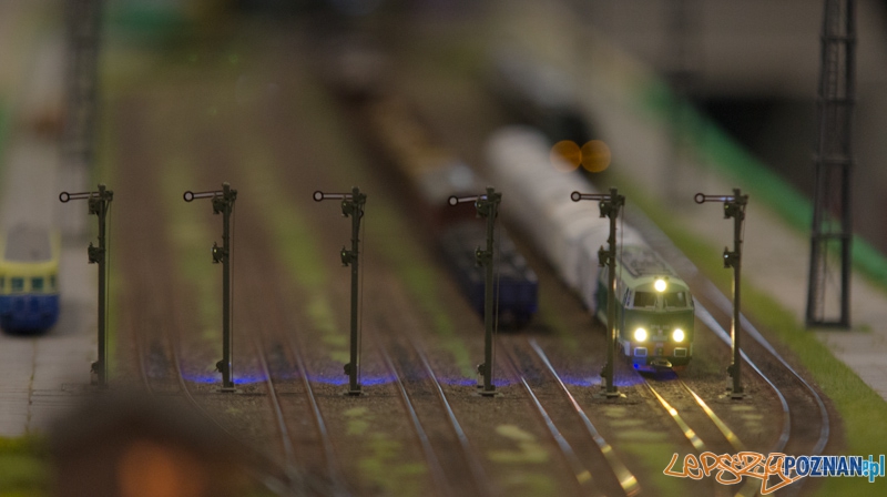 Targi Hobby Foto: lepszyPOZNAN.pl / Piotr Rychter Targi Hobby Foto: lepszyPOZNAN.pl / Piotr Rychter