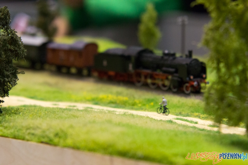 Targi Hobby Foto: lepszyPOZNAN.pl / Piotr Rychter Targi Hobby Foto: lepszyPOZNAN.pl / Piotr Rychter