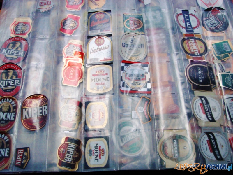 03_TargiBirfilow2012 Foto: 03_TargiBirfilow2012 Foto: