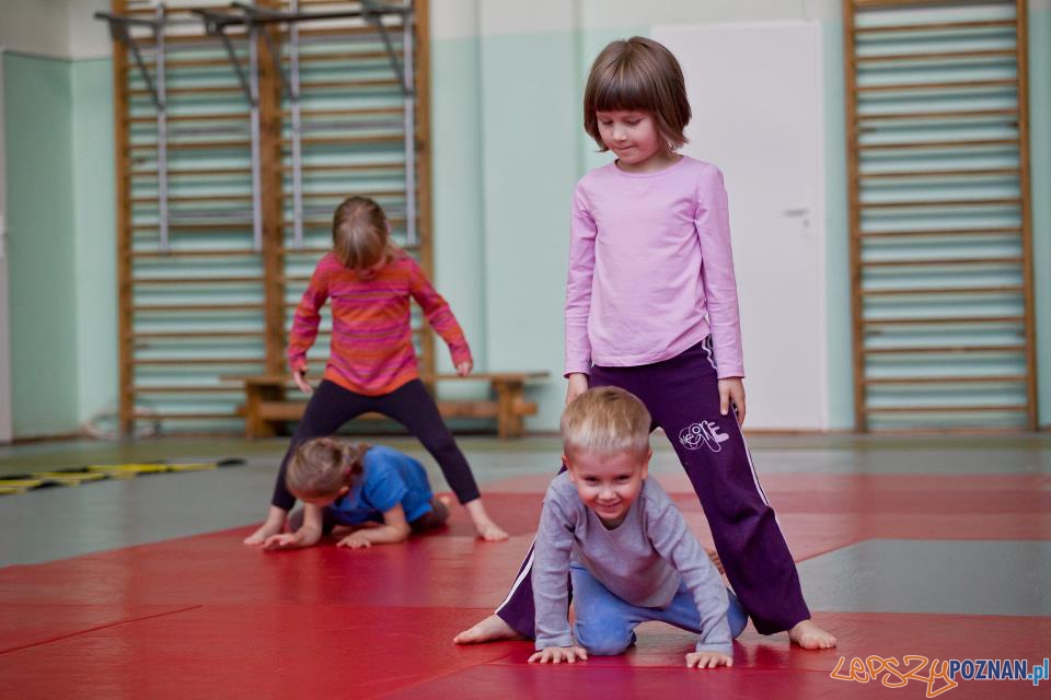 Judo dla najmłodszych (2) Foto: Tomasz Szwajkowski, PKS Olimpia Judo dla najmłodszych (2) Foto: Tomasz Szwajkowski, PKS Olimpia