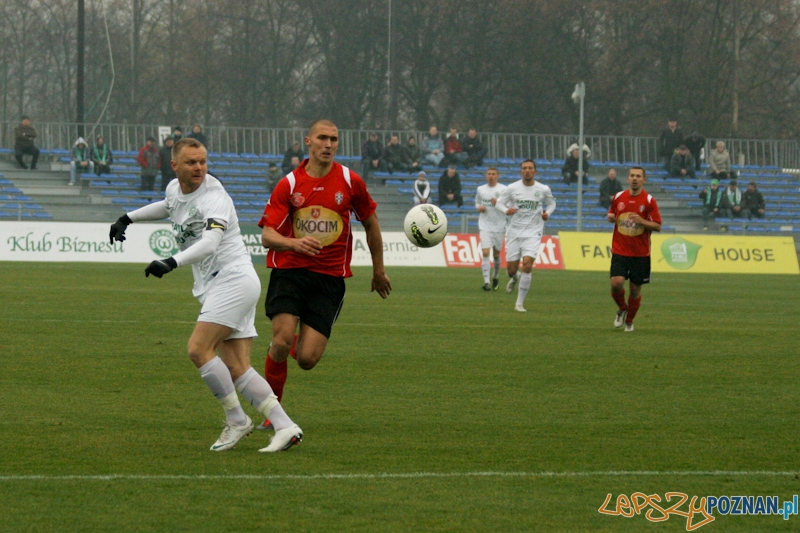 Warta Poznań - Okocimski Brzesko 18.11.2012 Foto: Ewelina Gutowska Warta Poznań - Okocimski Brzesko 18.11.2012 Foto: Ewelina Gutowska