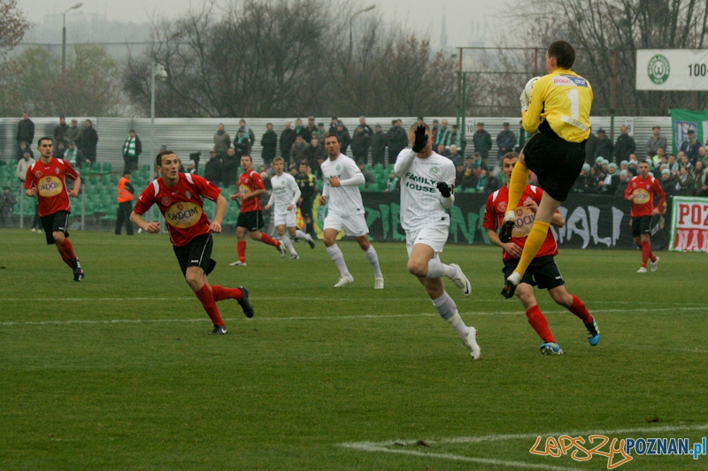 Warta Poznań - Okocimski Brzesko 18.11.2012 Foto: Ewelina Gutowska Warta Poznań - Okocimski Brzesko 18.11.2012 Foto: Ewelina Gutowska