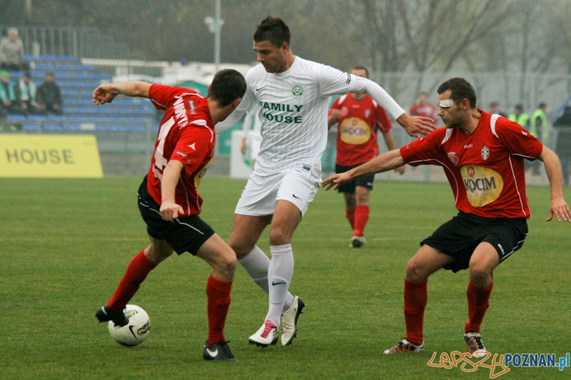 Warta Poznań - Okocimski Brzesko 18.11.2012 Foto: Ewelina Gutowska Warta Poznań - Okocimski Brzesko 18.11.2012 Foto: Ewelina Gutowska