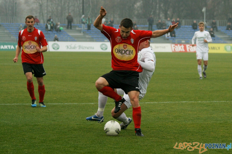Warta Poznań - Okocimski Brzesko 18.11.2012 Foto: Ewelina Gutowska Warta Poznań - Okocimski Brzesko 18.11.2012 Foto: Ewelina Gutowska