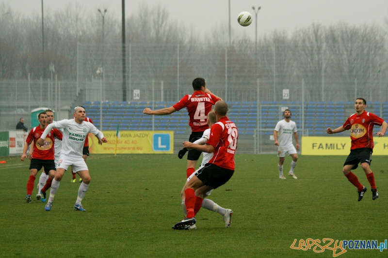 Warta PoznaÅ - Okocimski Brzesko 18.11.2012 Foto: Ewelina Gutowska Warta PoznaÅ - Okocimski Brzesko 18.11.2012 Foto: Ewelina Gutowska