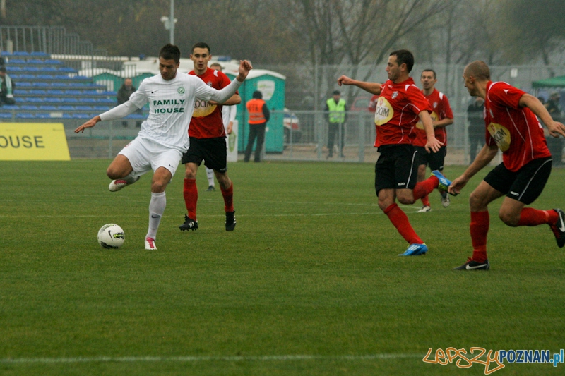 Warta Poznań - Okocimski Brzesko 18.11.2012 Foto: Ewelina Gutowska Warta Poznań - Okocimski Brzesko 18.11.2012 Foto: Ewelina Gutowska