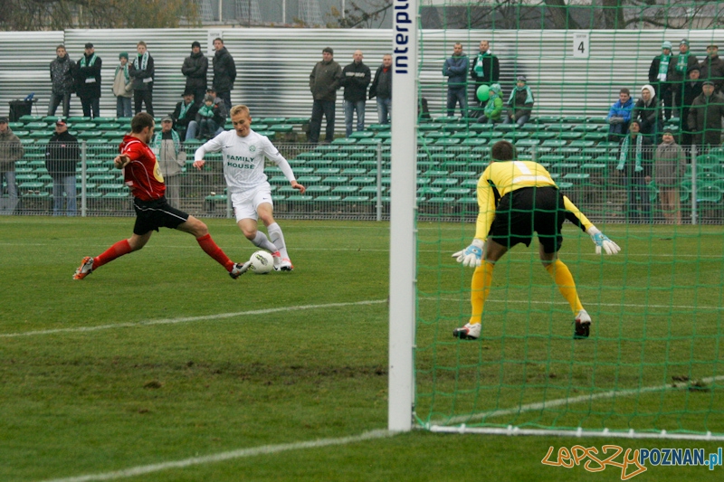 Warta PoznaÅ - Okocimski Brzesko 18.11.2012 Foto: Ewelina Gutowska Warta PoznaÅ - Okocimski Brzesko 18.11.2012 Foto: Ewelina Gutowska