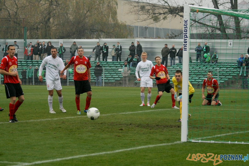 Warta Poznań - Okocimski Brzesko 18.11.2012 Foto: Ewelina Gutowska Warta Poznań - Okocimski Brzesko 18.11.2012 Foto: Ewelina Gutowska