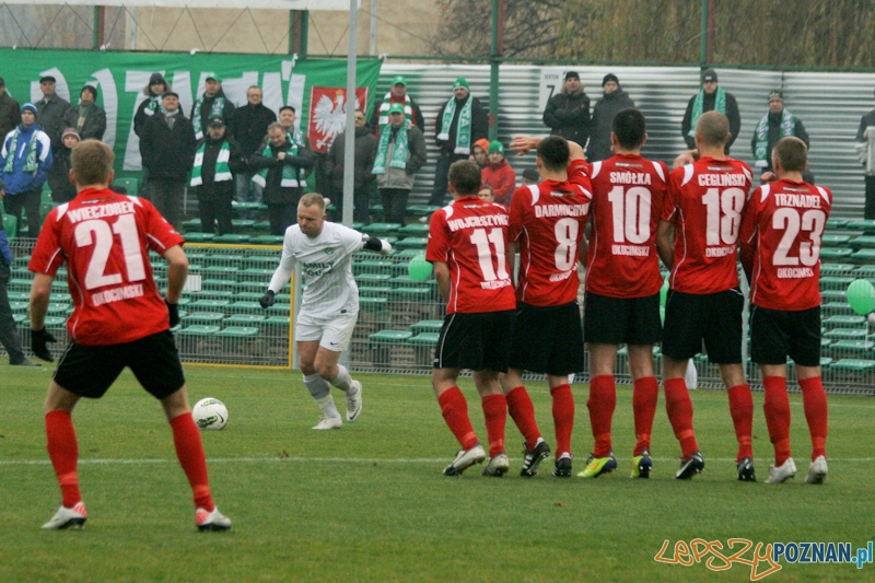 Warta Poznań - Okocimski Brzesko 18.11.2012 Foto: Ewelina Gutowska Warta Poznań - Okocimski Brzesko 18.11.2012 Foto: Ewelina Gutowska