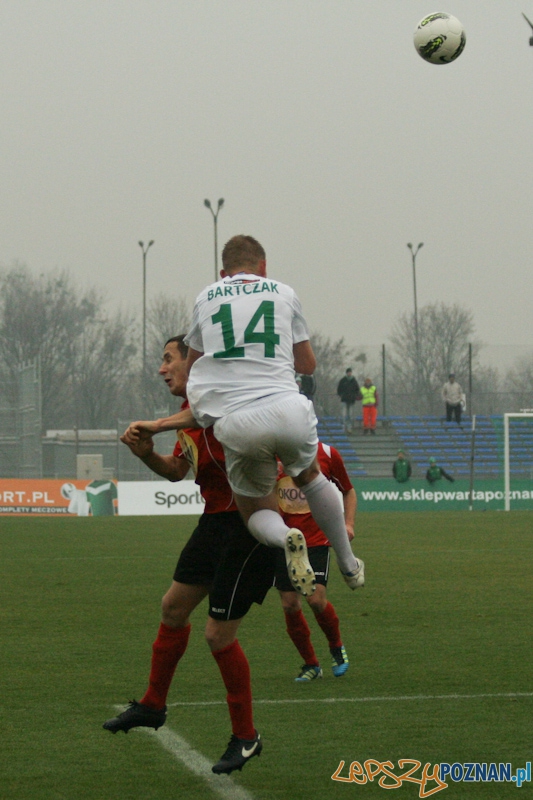 Warta Poznań - Okocimski Brzesko 18.11.2012 Foto: Ewelina Gutowska Warta Poznań - Okocimski Brzesko 18.11.2012 Foto: Ewelina Gutowska