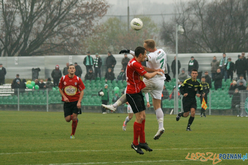 Warta Poznań - Okocimski Brzesko 18.11.2012 Foto: Ewelina Gutowska Warta Poznań - Okocimski Brzesko 18.11.2012 Foto: Ewelina Gutowska
