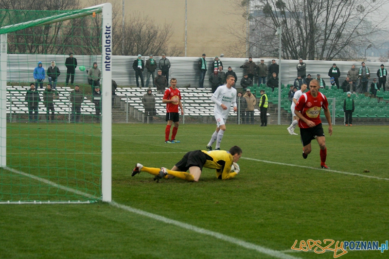 Warta Poznań - Okocimski Brzesko 18.11.2012 Foto: Ewelina Gutowska Warta Poznań - Okocimski Brzesko 18.11.2012 Foto: Ewelina Gutowska