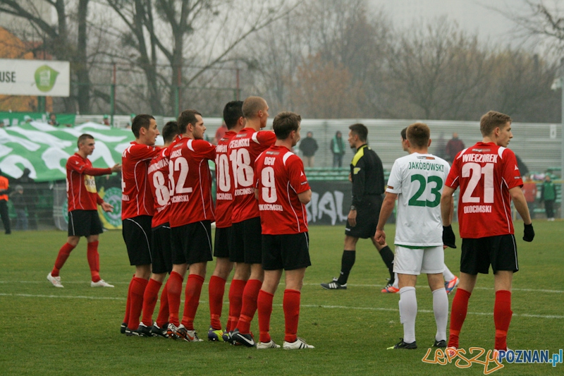 Warta Poznań - Okocimski Brzesko 18.11.2012 Foto: Ewelina Gutowska Warta Poznań - Okocimski Brzesko 18.11.2012 Foto: Ewelina Gutowska