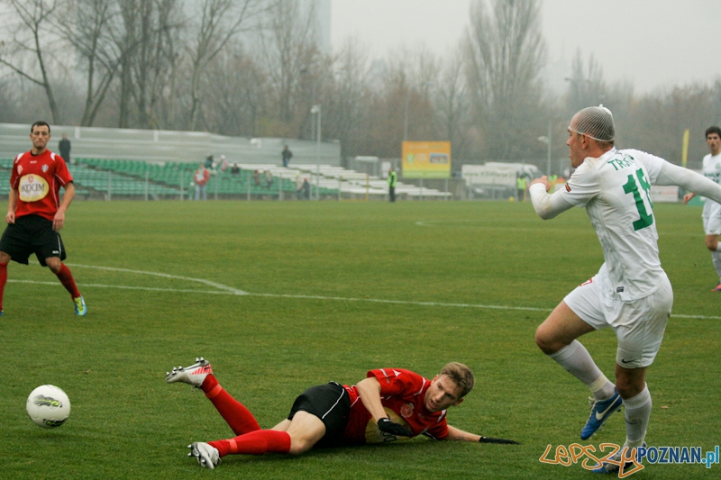 Warta Poznań - Okocimski Brzesko 18.11.2012 Foto: Ewelina Gutowska Warta Poznań - Okocimski Brzesko 18.11.2012 Foto: Ewelina Gutowska