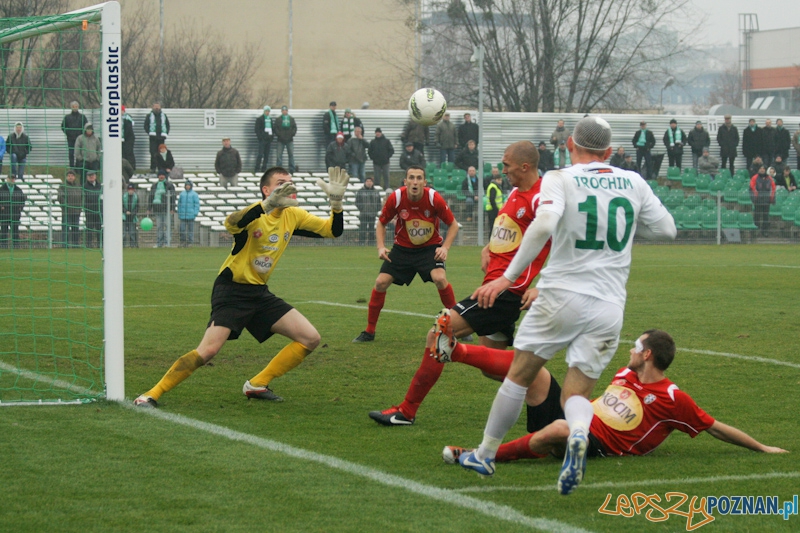 Warta Poznań - Okocimski Brzesko 18.11.2012 Foto: Ewelina Gutowska Warta Poznań - Okocimski Brzesko 18.11.2012 Foto: Ewelina Gutowska