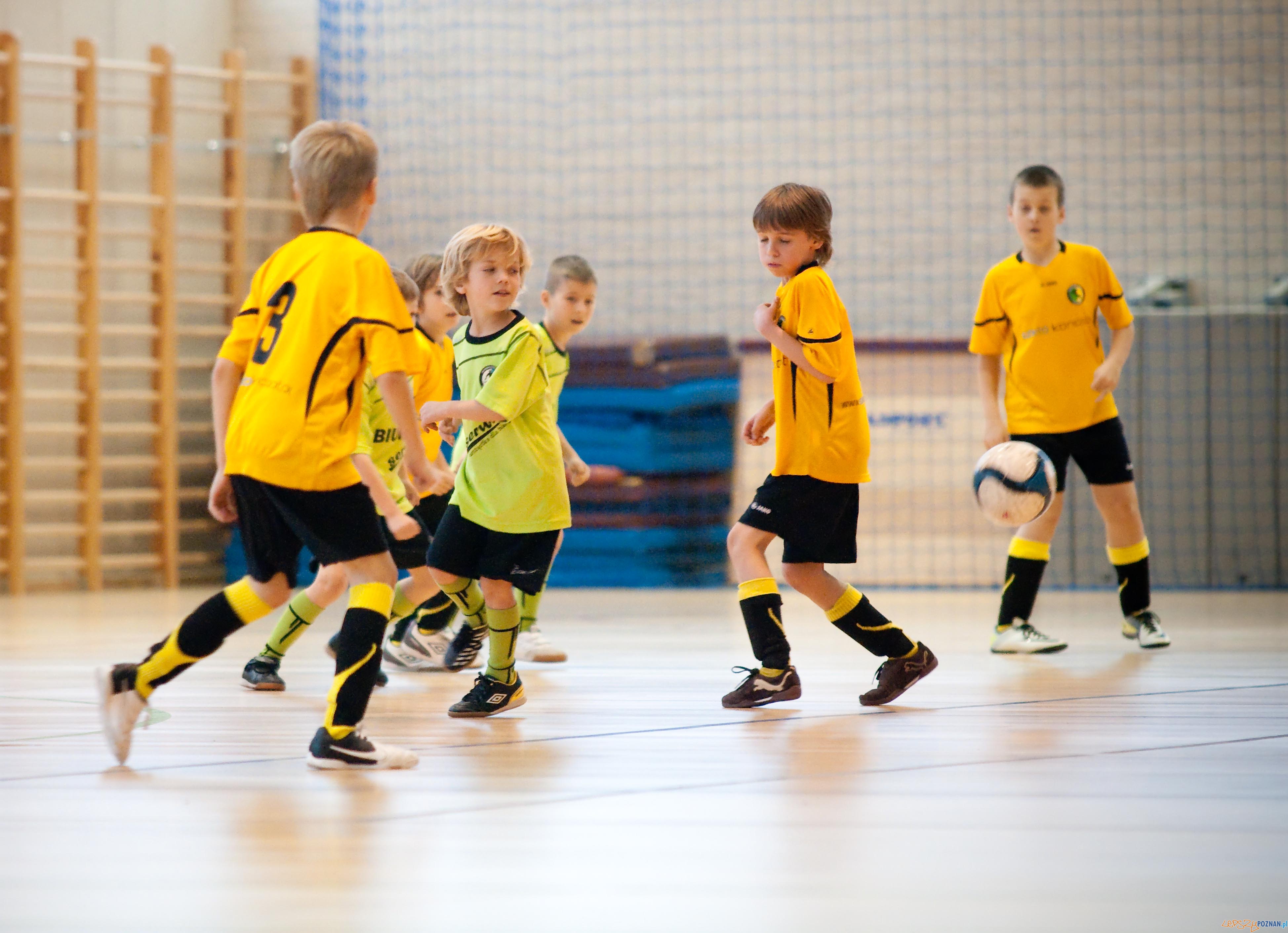 Koziołek Poznań, turniej w Kórniku rocznika 2003 (1) Foto: www.fotorealizacje.pl Koziołek Poznań, turniej w Kórniku rocznika 2003 (1) Foto: www.fotorealizacje.pl