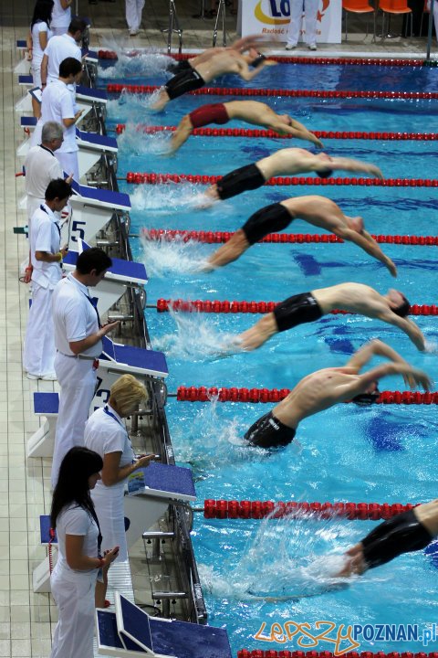 Puchar Polski - Termy Maltańskie  Foto: Termy Maltańskie/facebook