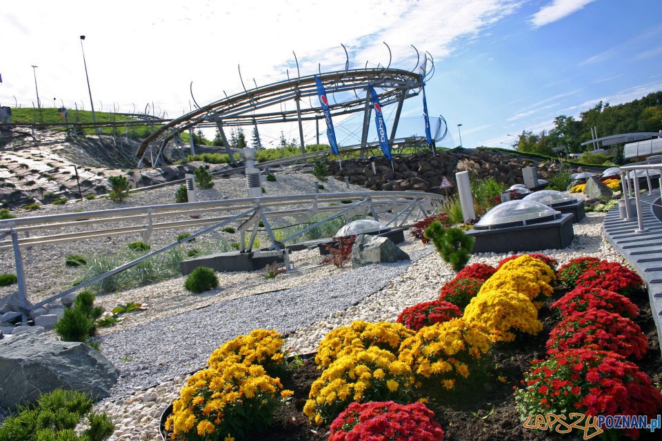 Zieleń na Malta Ski (1) Foto: Zieleń na Malta Ski (1) Foto: