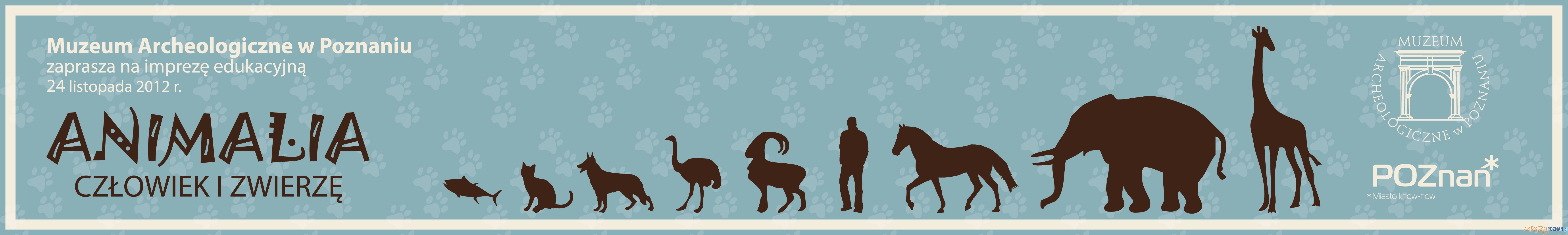 Animalia w Muzeum Archeologicznym Foto: Animalia w Muzeum Archeologicznym Foto: