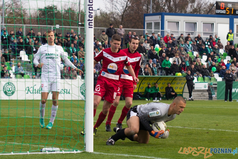 15 kolejka I ligii - Warta Poznań - GKS Tychy Foto: lepszyPOZNAN.pl / Piotr Rychter 15 kolejka I ligii - Warta Poznań - GKS Tychy Foto: lepszyPOZNAN.pl / Piotr Rychter