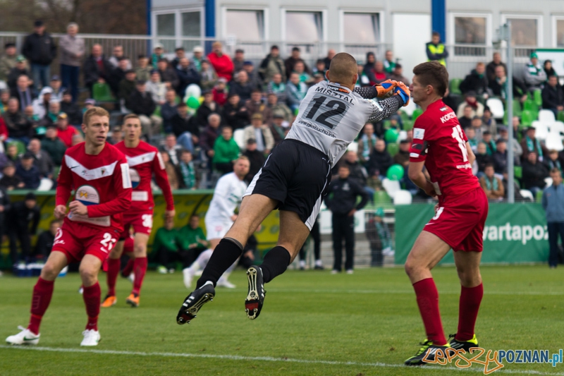 15 kolejka I ligii - Warta Poznań - GKS Tychy (piotr Misztal) Foto: lepszyPOZNAN.pl / Piotr Rychter 15 kolejka I ligii - Warta Poznań - GKS Tychy (piotr Misztal) Foto: lepszyPOZNAN.pl / Piotr Rychter
