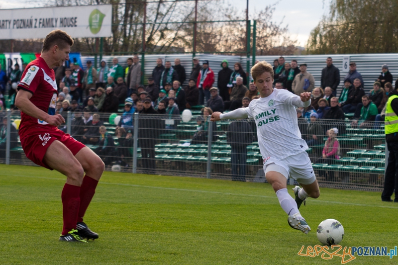 15 kolejka I ligii - Warta Poznań - GKS Tychy Foto: lepszyPOZNAN.pl / Piotr Rychter 15 kolejka I ligii - Warta Poznań - GKS Tychy Foto: lepszyPOZNAN.pl / Piotr Rychter