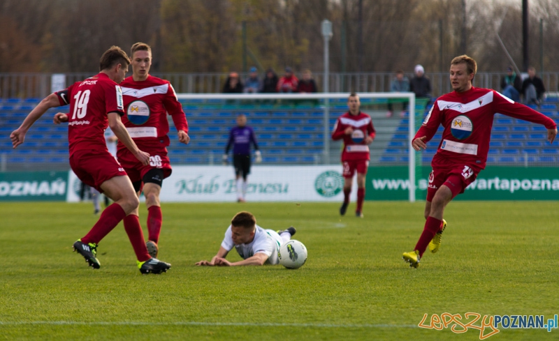 15 kolejka I ligii - Warta Poznań - GKS Tychy Foto: lepszyPOZNAN.pl / Piotr Rychter 15 kolejka I ligii - Warta Poznań - GKS Tychy Foto: lepszyPOZNAN.pl / Piotr Rychter