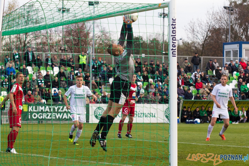 15 kolejka I ligii - Warta Poznań - GKS Tychy Foto: lepszyPOZNAN.pl / Piotr Rychter 15 kolejka I ligii - Warta Poznań - GKS Tychy Foto: lepszyPOZNAN.pl / Piotr Rychter