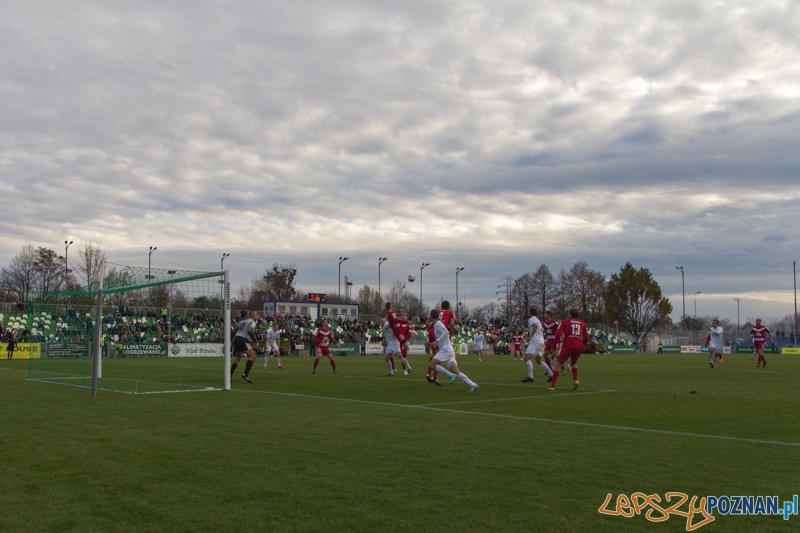 15 kolejka I ligii - Warta Poznań - GKS Tychy Foto: lepszyPOZNAN.pl / Piotr Rychter 15 kolejka I ligii - Warta Poznań - GKS Tychy Foto: lepszyPOZNAN.pl / Piotr Rychter