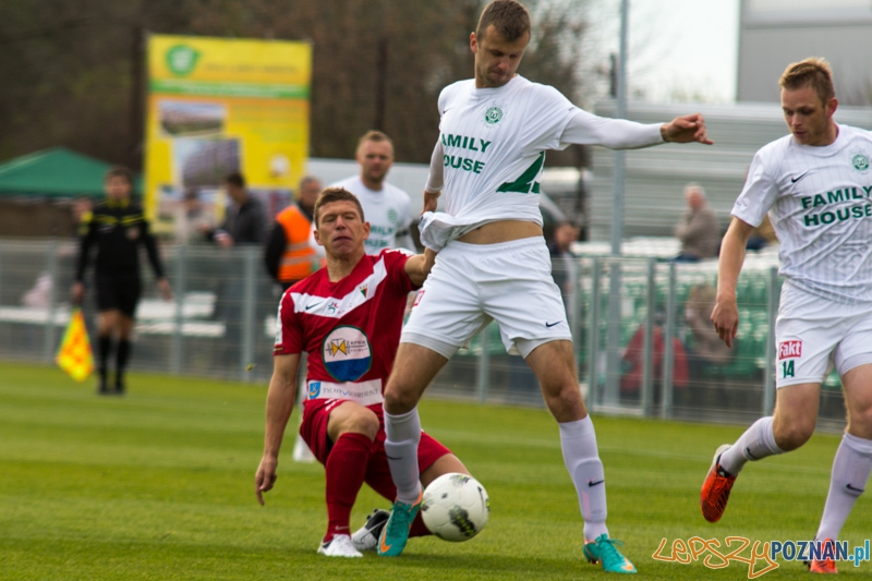 15 kolejka I ligii - Warta Poznań - GKS Tychy Foto: lepszyPOZNAN.pl / Piotr Rychter 15 kolejka I ligii - Warta Poznań - GKS Tychy Foto: lepszyPOZNAN.pl / Piotr Rychter