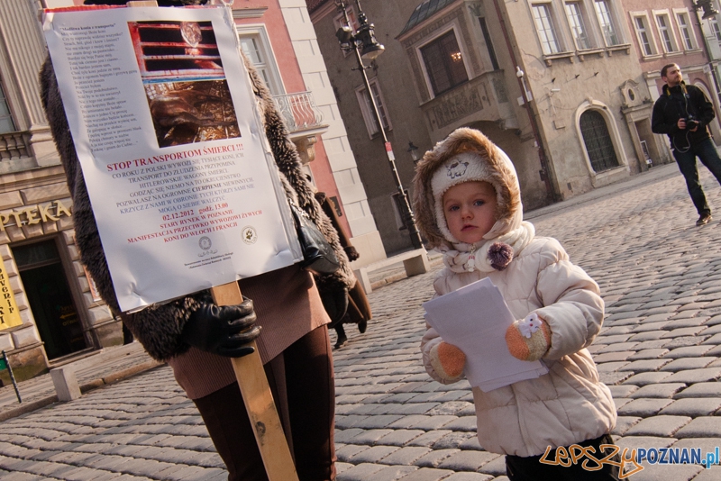 STOP transportom śmierci - Poznań 02.12.2012 r. Foto: LepszyPOZNAN.pl / Paweł Rychter STOP transportom śmierci - Poznań 02.12.2012 r. Foto: LepszyPOZNAN.pl / Paweł Rychter
