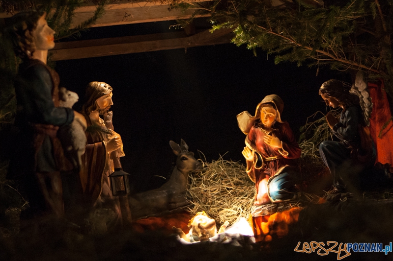 Szopka w Katedrze Foto: LepszyPOZNAN.pl / Paweł Rychter Szopka w Katedrze Foto: LepszyPOZNAN.pl / Paweł Rychter