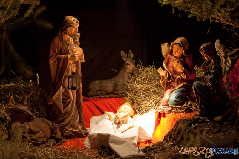 Szopka w Katedrze Foto: LepszyPOZNAN.pl / Paweł Rychter Szopka w Katedrze Foto: LepszyPOZNAN.pl / Paweł Rychter