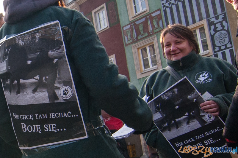 STOP transportom śmierci - Poznań 02.12.2012 r. Foto: LepszyPOZNAN.pl / Paweł Rychter STOP transportom śmierci - Poznań 02.12.2012 r. Foto: LepszyPOZNAN.pl / Paweł Rychter