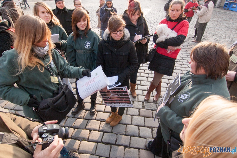 STOP transportom śmierci - Poznań 02.12.2012 r. Foto: LepszyPOZNAN.pl / Paweł Rychter STOP transportom śmierci - Poznań 02.12.2012 r. Foto: LepszyPOZNAN.pl / Paweł Rychter