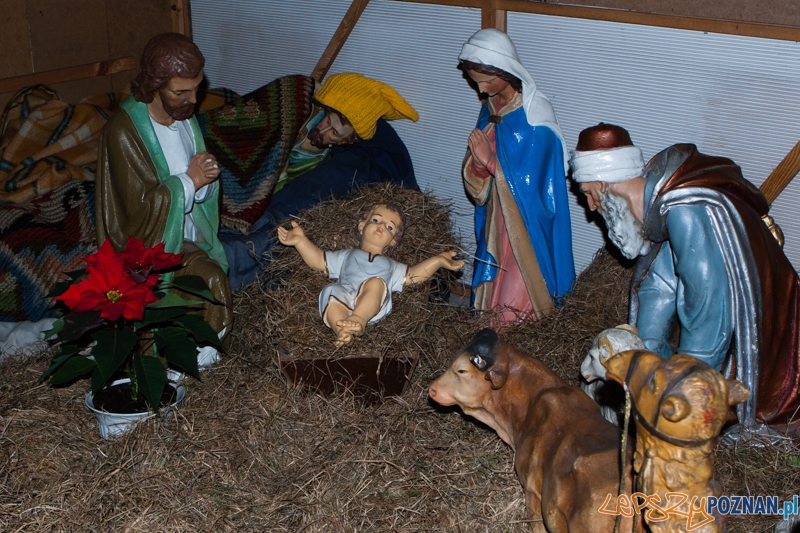 Szopka w kościele Farnym Foto: LepszyPOZNAN.pl / Paweł Rychter Szopka w kościele Farnym Foto: LepszyPOZNAN.pl / Paweł Rychter
