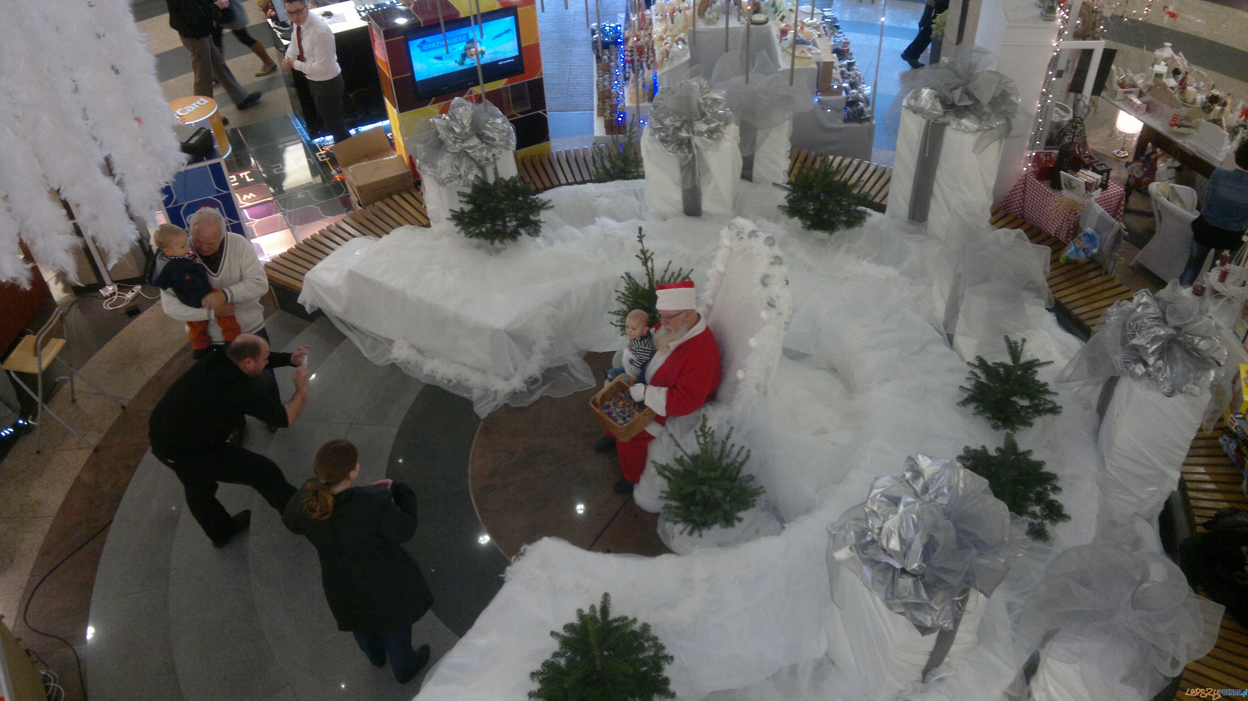 Gwiazdor w Kupcu  Foto: 