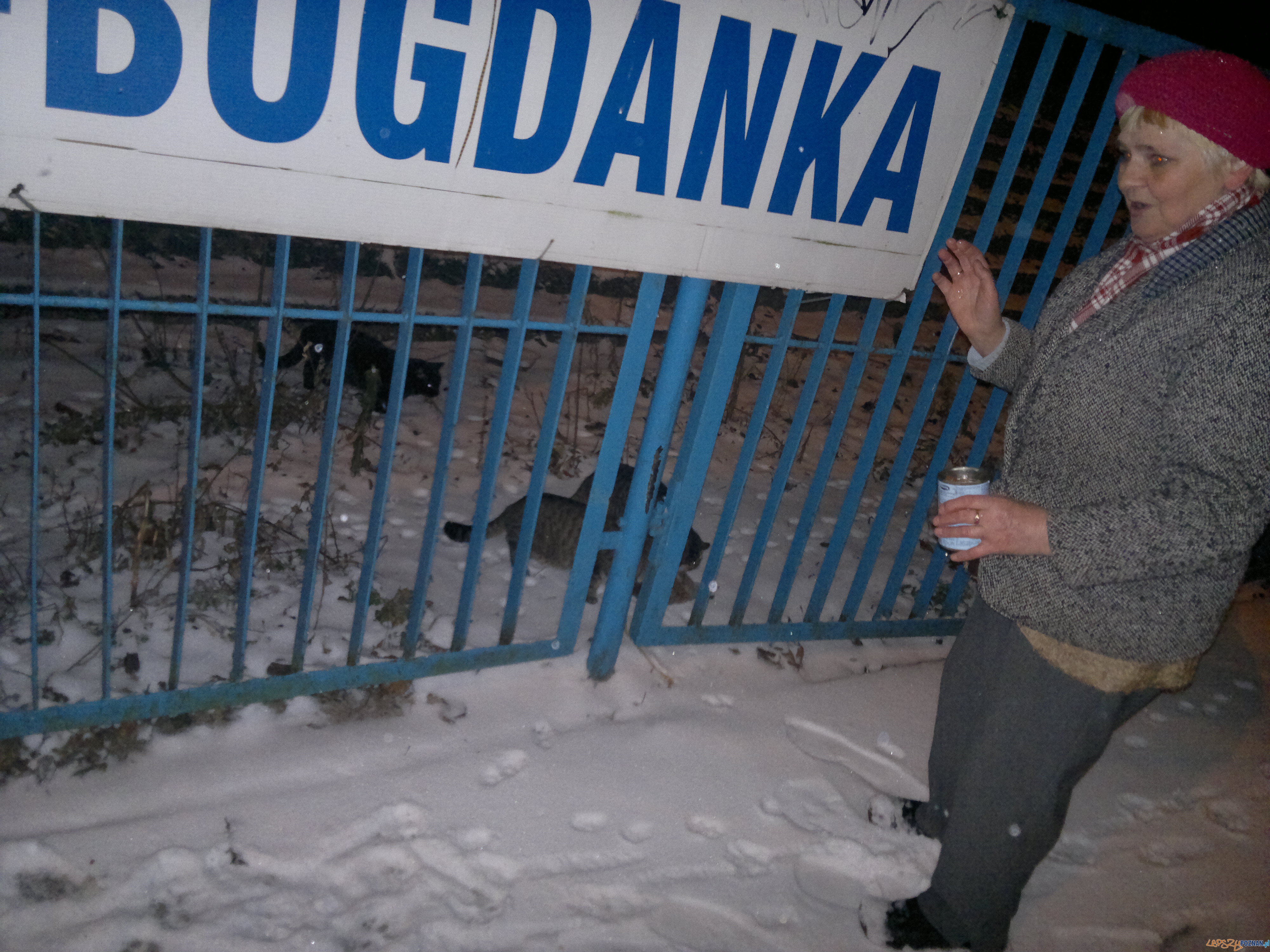 2012-12-23-2429 Foto: 2012-12-23-2429 Foto: