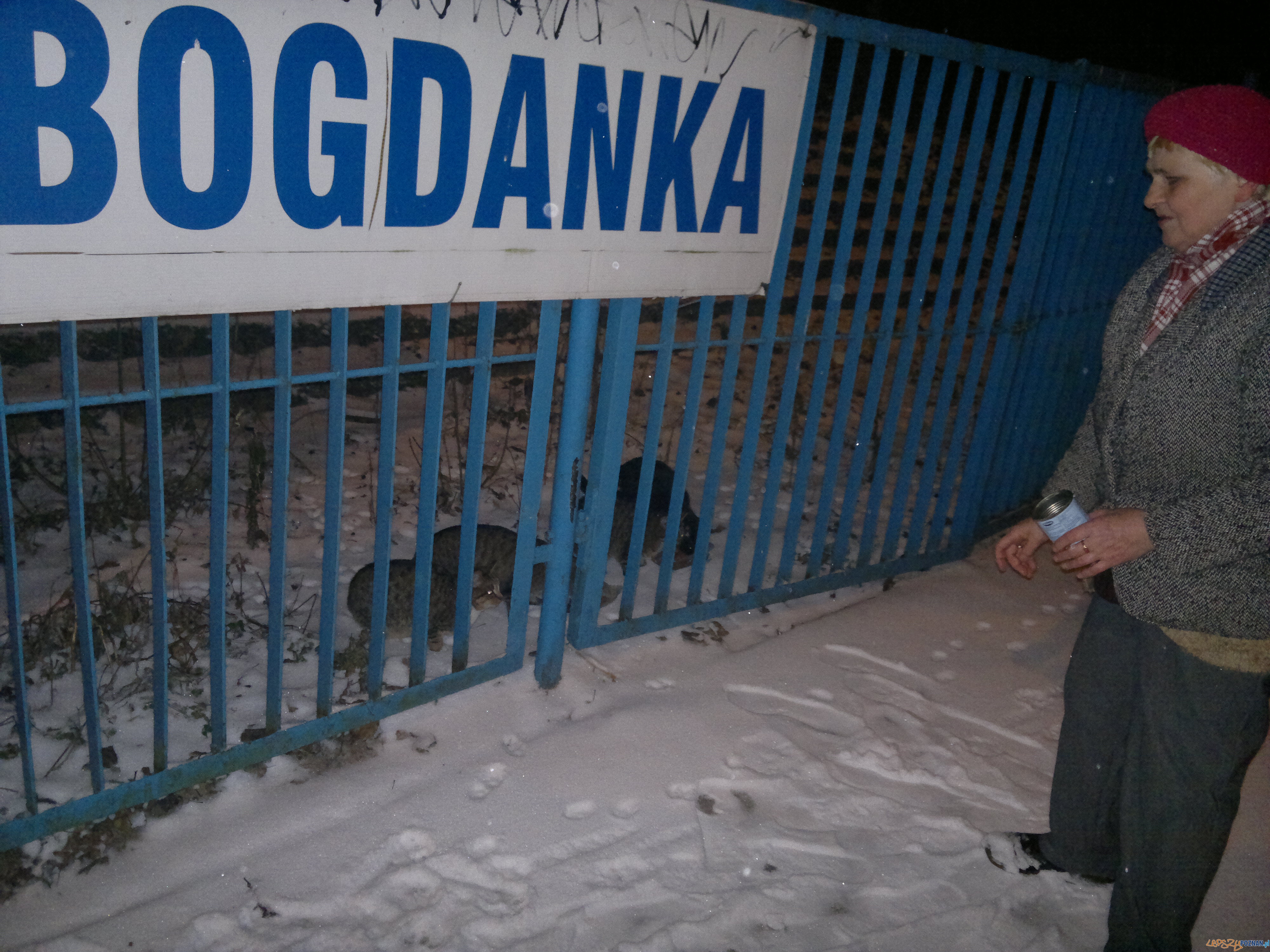 2012-12-23-2433 Foto: 2012-12-23-2433 Foto: