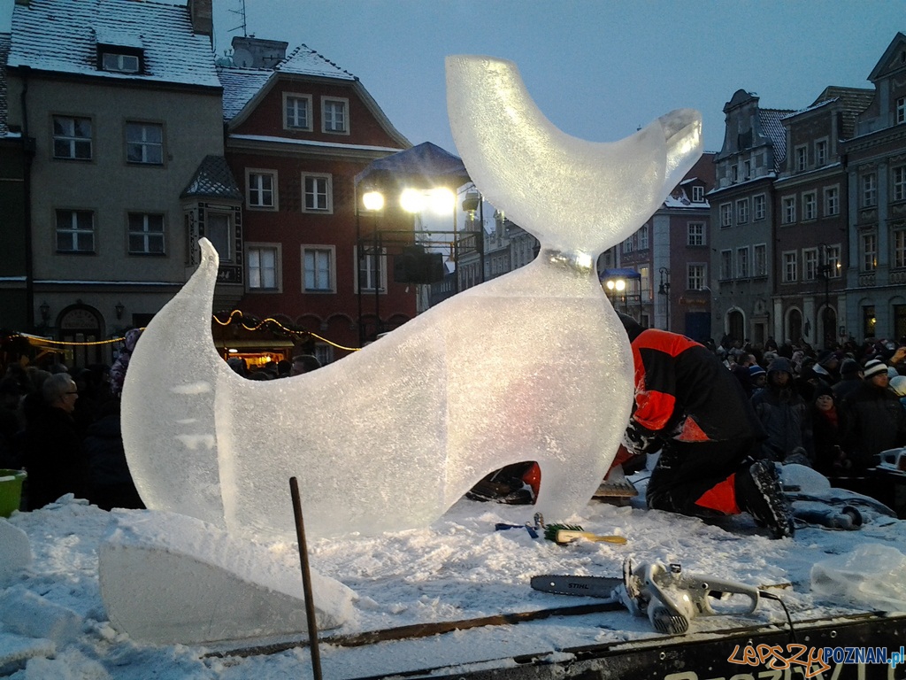 VII Międzynarodowy Festiwal Rzeźby Lodowej - 2 dzień Foto: lepszyPOZNAN.pl / tab VII Międzynarodowy Festiwal Rzeźby Lodowej - 2 dzień Foto: lepszyPOZNAN.pl / tab
