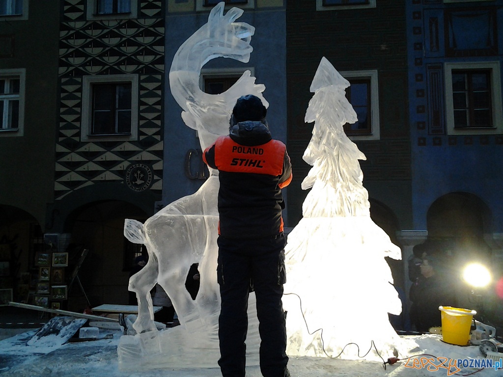 VII Międzynarodowy Festiwal Rzeźby Lodowej - 2 dzień Foto: lepszyPOZNAN.pl / tab VII Międzynarodowy Festiwal Rzeźby Lodowej - 2 dzień Foto: lepszyPOZNAN.pl / tab