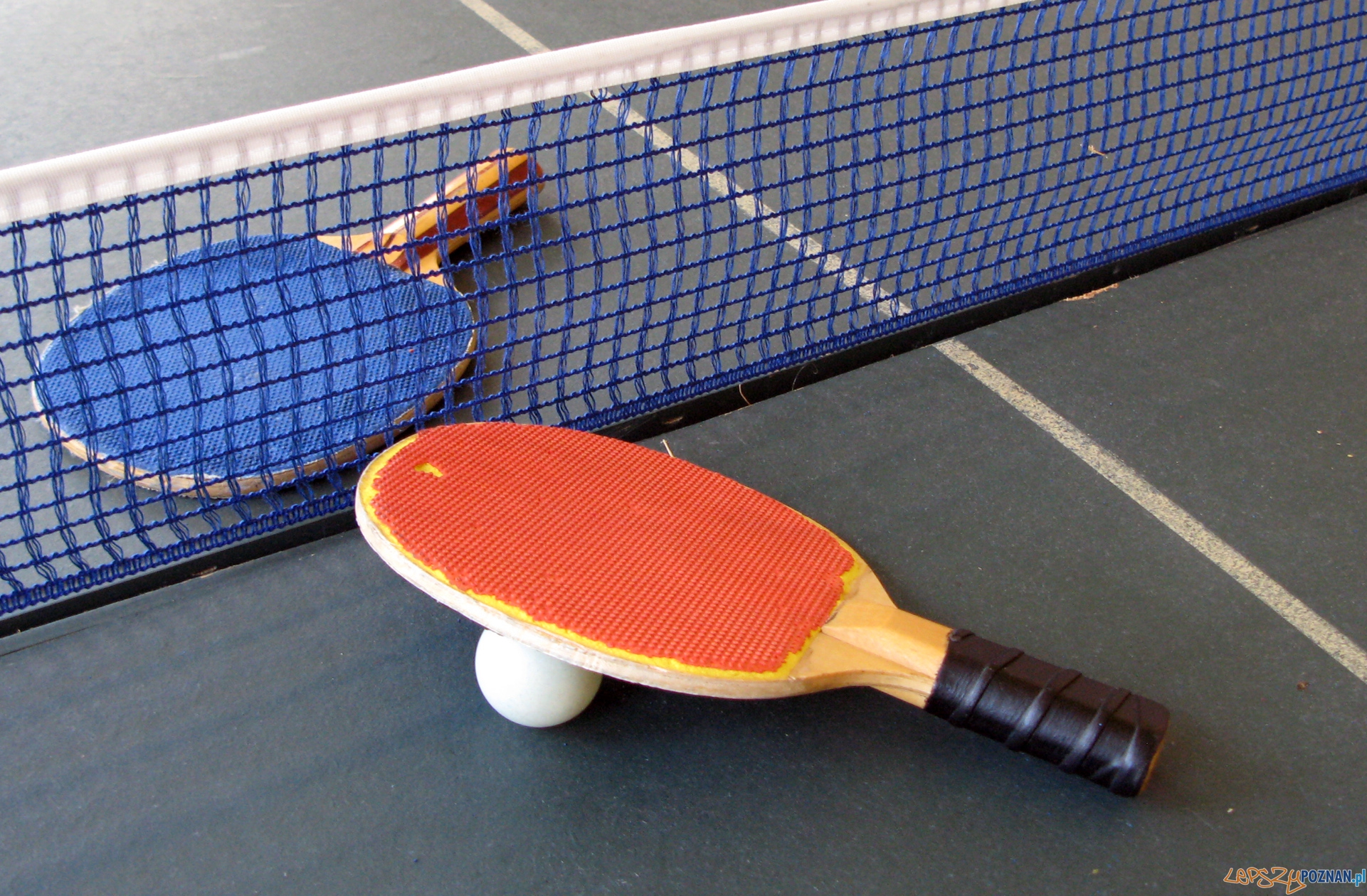 tenis stołowy Foto: sxc tenis stołowy Foto: sxc