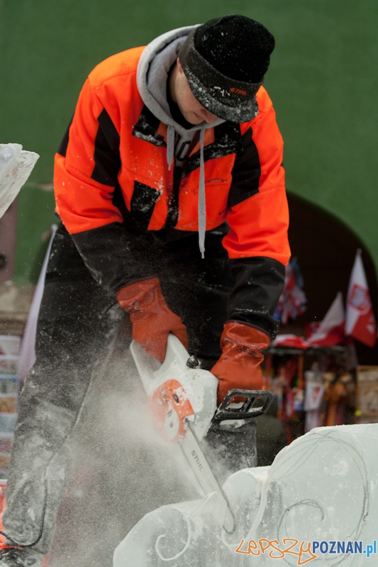 VII Festiwal Rzeźby Lodowej Foto: Ewelina Gutowska VII Festiwal Rzeźby Lodowej Foto: Ewelina Gutowska