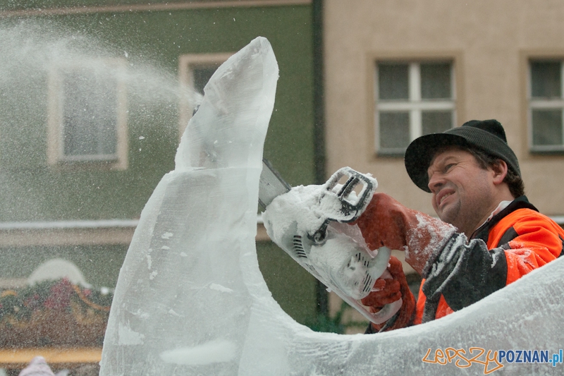 VII Festiwal Rzeźby Lodowej Foto: Ewelina Gutowska VII Festiwal Rzeźby Lodowej Foto: Ewelina Gutowska