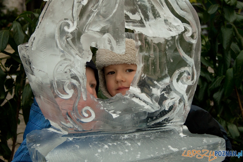 VII Festiwal Rzeźby Lodowej Foto: Ewelina Gutowska VII Festiwal Rzeźby Lodowej Foto: Ewelina Gutowska