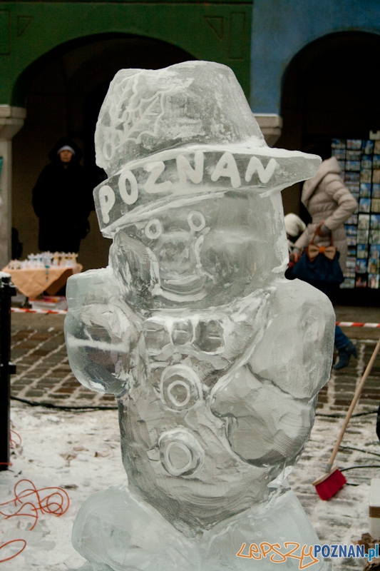 VII Festiwal Rzeźby Lodowej Foto: Ewelina Gutowska VII Festiwal Rzeźby Lodowej Foto: Ewelina Gutowska