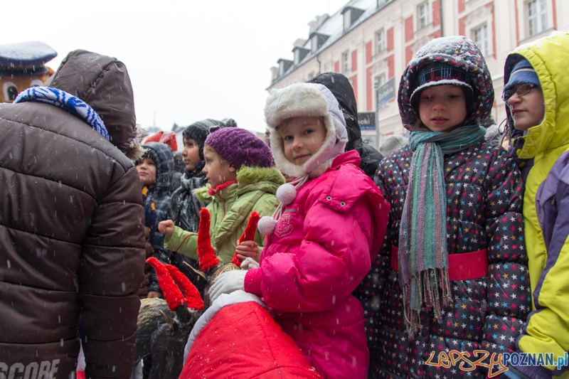 Dzieci ze szkoły podstawowej nr 82 pomagały ubrać koziołki przed Urzędem Miasta Foto: lepszyPOZNAN.pl / Piotr Rychter Dzieci ze szkoły podstawowej nr 82 pomagały ubrać koziołki przed Urzędem Miasta Foto: lepszyPOZNAN.pl / Piotr Rychter